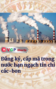 Đăng ký, cấp mã trong nước hạn ngạch tín chỉ các-bon