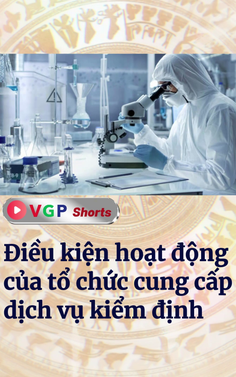 Điều kiện hoạt động của tổ chức cung cấp dịch vụ kiểm định
