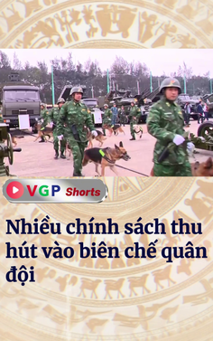 Nhiều chính sách thu hút vào biên chế quân đội