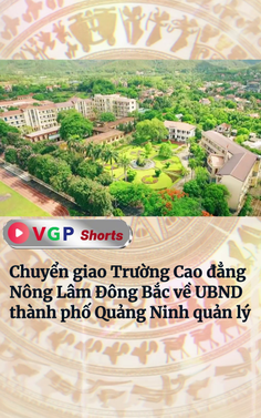 Chuyển giao Trường Cao đẳng Nông Lâm Đông Bắc về UBND thành phố Quảng Ninh quản lý