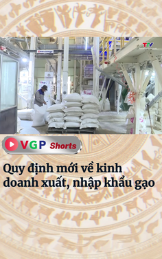 Quy định mới về kinh doanh xuất, nhập khẩu gạo
