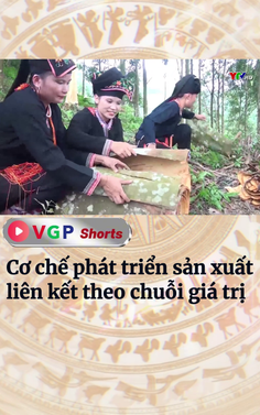 Cơ chế phát triển sản xuất liên kết theo chuỗi giá trị