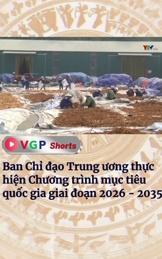 Ban Chỉ đạo Trung ương thực hiện Chương trình mục tiêu quốc gia giai đoạn 2026 - 2035