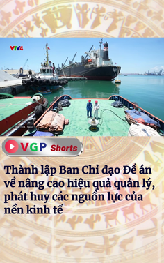 Thành lập Ban Chỉ đạo Đề án về nâng cao hiệu quả quản lý, phát huy các nguồn lực của nền kinh tế