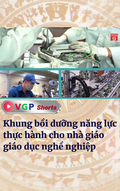 Khung bồi dưỡng năng lực thực hành cho nhà giáo giáo dục nghề nghiệp