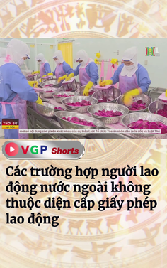 Các trường hợp người lao động nước ngoài không thuộc diện cấp giấy phép lao động
