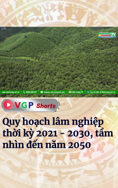 Quy hoạch lâm nghiệp thời kỳ 2021 - 2030, tầm nhìn đến năm 2050