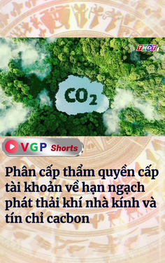 Phân cấp thẩm quyền cấp tài khoản Hệ thống đăng ký quốc gia về hạn ngạch phát thải khí nhà kính và tín chỉ cacbon