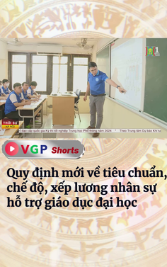 Quy định mới về tiêu chuẩn, chế độ, xếp lương nhân sự hỗ trợ giáo dục đại học