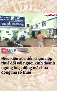 Điều kiện xóa tiền chậm nộp thuế đối với người kinh doanh ngừng hoạt động mà chưa đóng mã số thuế