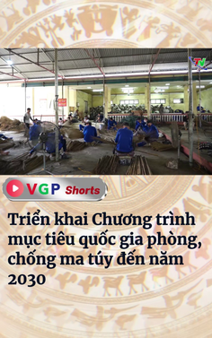 Triển khai Chương trình mục tiêu quốc gia phòng, chống ma túy đến năm 2030
