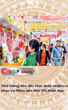Thủ tướng đôn đốc thực hiện nhiệm vụ phục vụ Nhân dân đón Tết Bính Ngọ