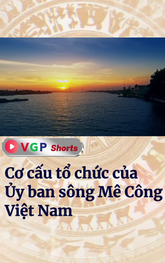 Cơ cấu tổ chức của Ủy ban sông Mê Công Việt Nam