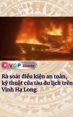 Rà soát điều kiện an toàn, kỹ thuật của tàu du lịch trên Vịnh Hạ Long