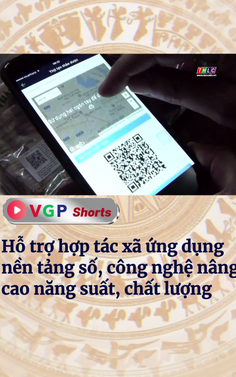 Hỗ trợ hợp tác xã ứng dụng nền tảng số, công nghệ nâng cao năng suất, chất lượng 