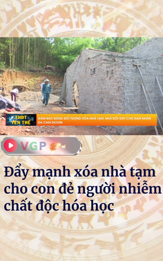 Đẩy mạnh xóa nhà tạm cho con đẻ người nhiễm chất độc hóa học