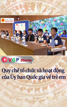 Quy chế tổ chức và hoạt động của Ủy ban Quốc gia về trẻ em