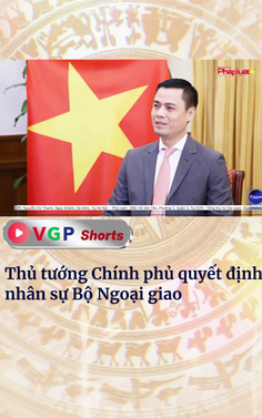 Thủ tướng Chính phủ quyết định nhân sự Bộ Ngoại giao