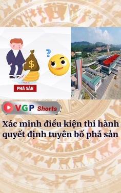 Xác minh điều kiện thi hành quyết định tuyên bố phá sản