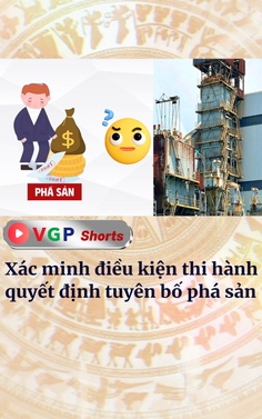 Xác minh điều kiện thi hành quyết định tuyên bố phá sản