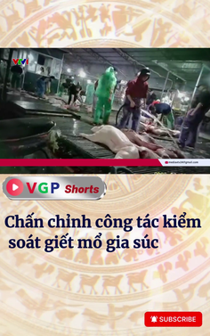 Chấn chỉnh công tác kiểm soát giết mổ gia súc