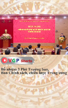Bổ nhiệm 03 Phó Trưởng ban, Ban Chính sách, chiến lược Trung ương