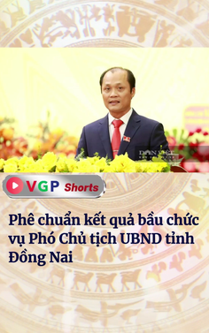 Phê chuẩn kết quả bầu chức vụ Phó Chủ tịch UBND tỉnh Đồng Nai