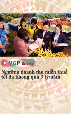 Ngưỡng doanh thu miễn thuế tối đa không quá 3 tỷ/ năm