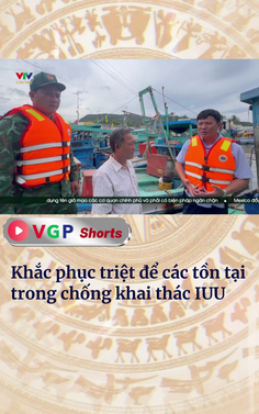 Khắc phục triệt để các tồn tại trong chống khai thác IUU
