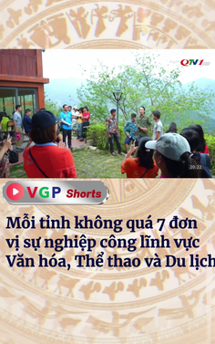 Mỗi tỉnh không quá 7 đơn vị sự nghiệp công lĩnh vực Văn hóa, Thể thao và Du lịch 