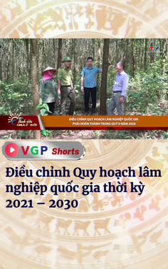 Điều chỉnh Quy hoạch lâm nghiệp quốc gia thời kỳ 2021 – 2030