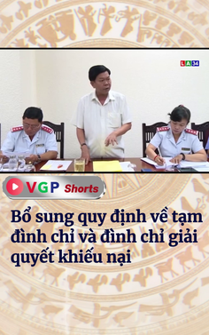 Quy định về tạm đình chỉ và đình chỉ giải quyết khiếu nại