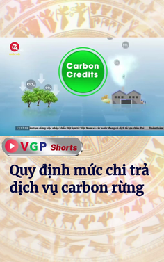 Quy định mức chi trả dịch vụ carbon rừng