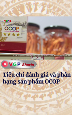 Tiêu chí đánh giá và phân hạng sản phẩm OCOP