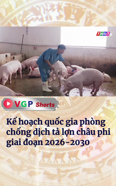 Kế hoạch quốc gia phòng chống dịch tả lợn châu Phi giai đoạn 2026-2030