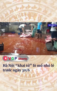 Hà Nội “khai tử” lò mổ nhỏ lẻ trước ngày 30/6