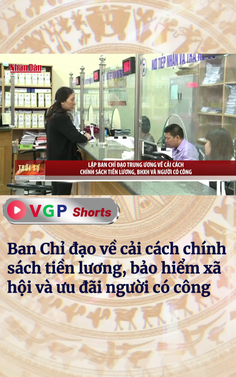 Ban Chỉ đạo về cải cách chính sách tiền lương, bảo hiểm xã hội và ưu đãi người có công