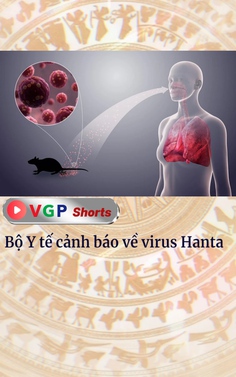 Bộ Y tế cảnh báo về virus Hanta
