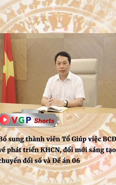 Bổ sung thành viên Tổ Giúp việc BCĐ về phát triển KHCN, đổi mới sáng tạo, chuyển đổi số và Đề án 06