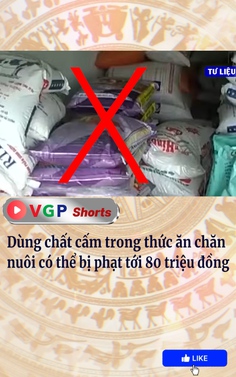 Dùng chất cấm trong thức ăn chăn nuôi có thể bị phạt tới 80 triệu đồng