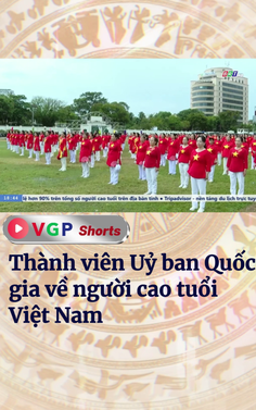Thành viên Ủy ban Quốc gia về người cao tuổi Việt Nam