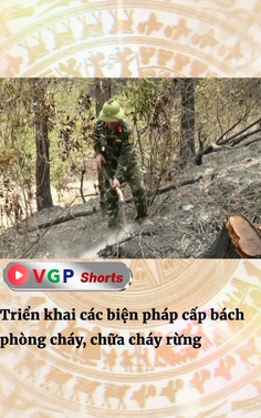 Triển khai các biện pháp cấp bách phòng cháy, chữa cháy rừng