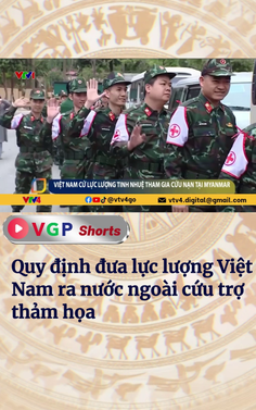 Quy định đưa lực lượng việt nam ra nước ngoài cứu trợ thảm họa