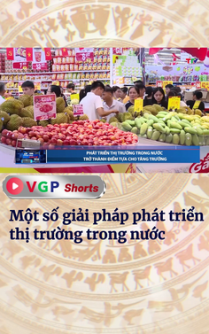Một số giải pháp phát triển thị trường trong nước