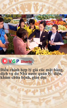 Điều chỉnh hợp lý giá các mặt hàng, dịch vụ do Nhà nước quản lý: điện, khám chữa bệnh, giáo dục