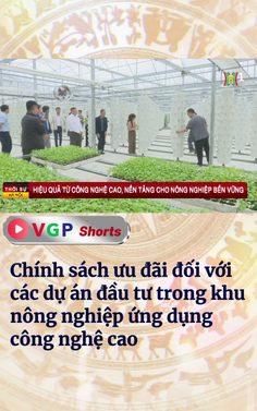 Chính sách ưu đãi đối với các dự án đầu tư trong khu nông nghiệp ứng dụng công nghệ cao