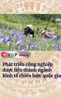 Phát triển công nghiệp dược liệu thành ngành kinh tế chiến lược quốc gia