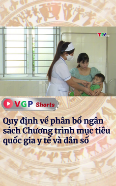 Quy định về phân bổ ngân sách Chương trình mục tiêu quốc gia y tế và dân số