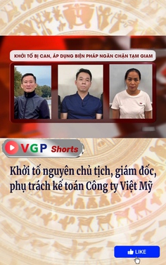 Khởi tố nguyên chủ tịch, giám đốc, phụ trách kế toán Công ty Việt Mỹ