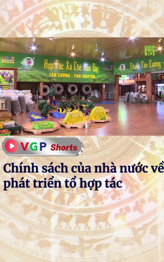 Chính sách của nhà nước về phát triển tổ hợp tác